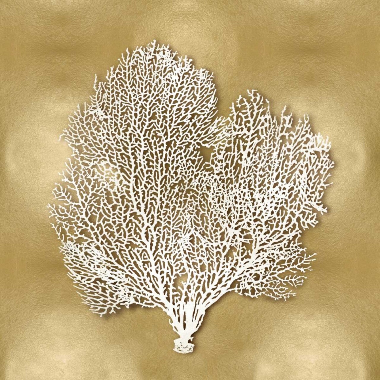 Sea Fan on Gold II Poster Print by Caroline Kelly # CKL114076